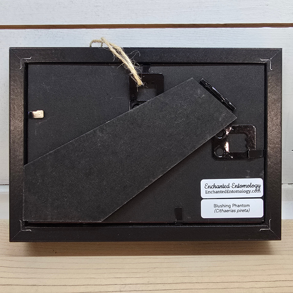 Blushing Phantom Butterfly Shadow Box Frame