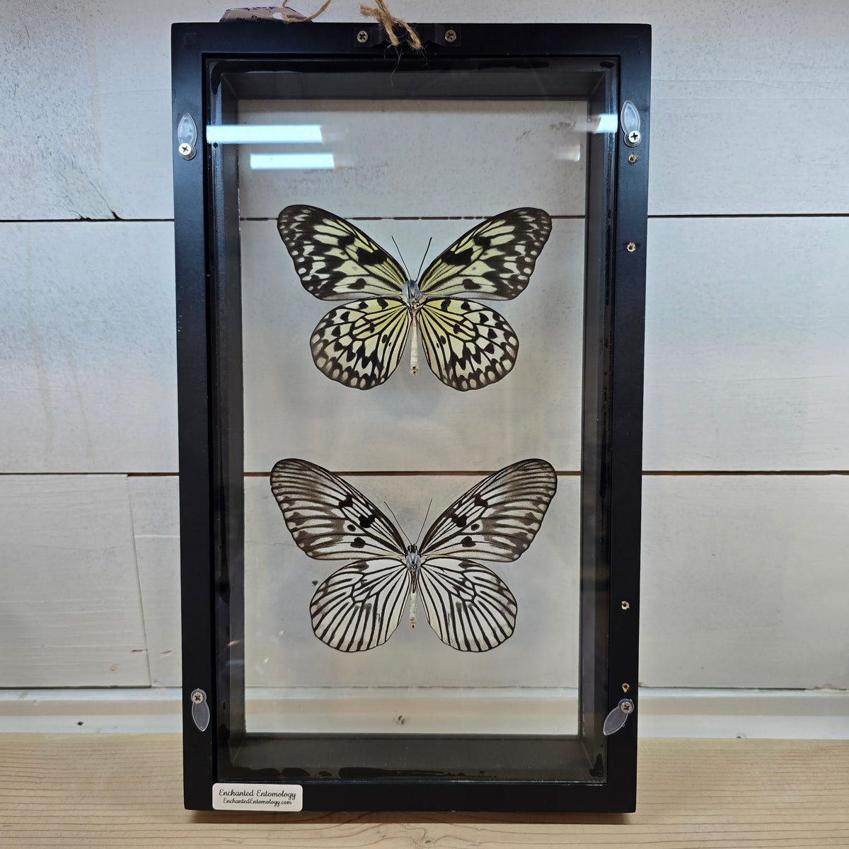 Paper Kite Butterflies Shadow Box Frame