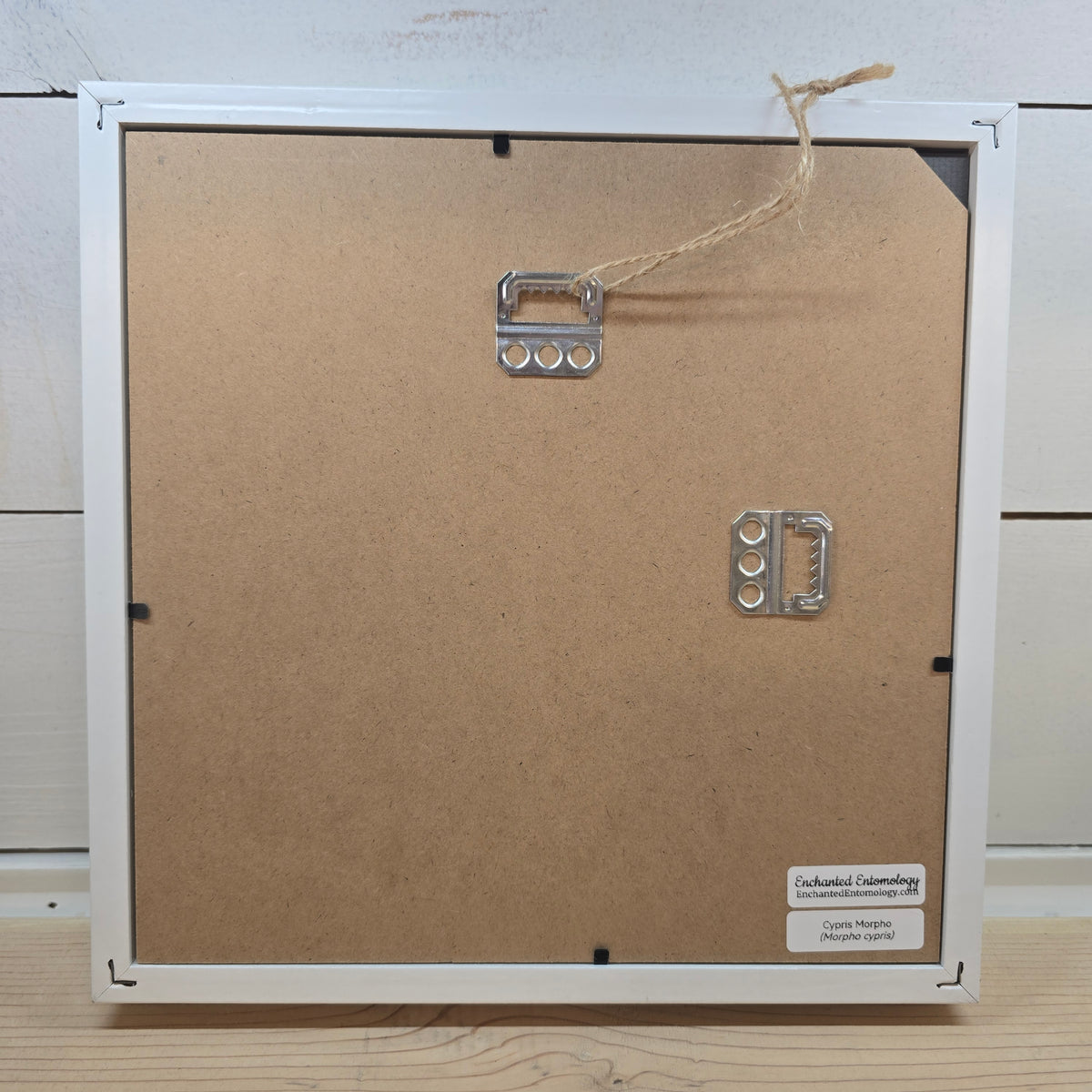 Cypris Morpho Shadow Box Frame