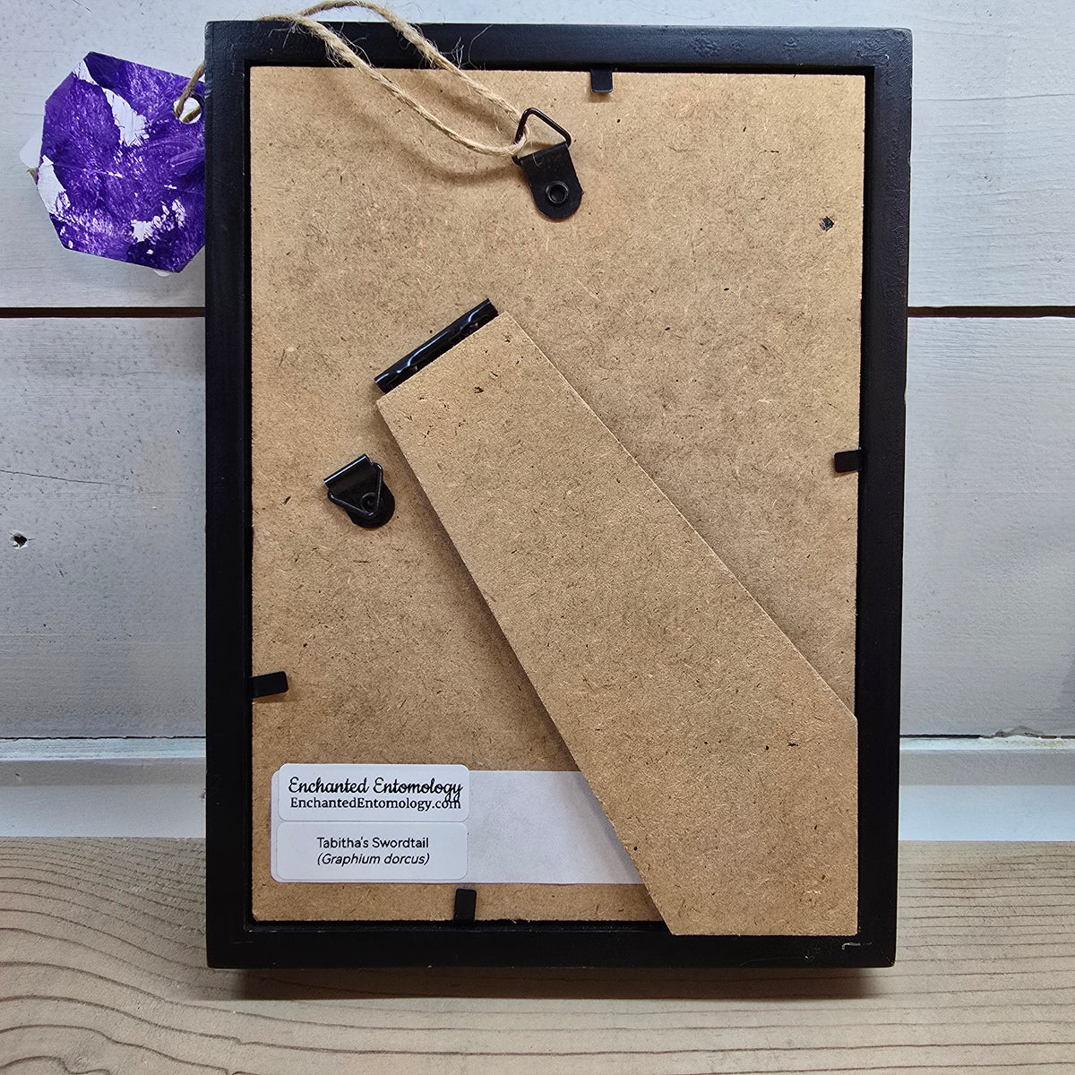 Tabitha's Swordtail Butterfly Shadow Box Frame