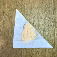 Load image into Gallery viewer, Orange-Barred Sulphur Butterfly - Unmounted/Papered Specimen
