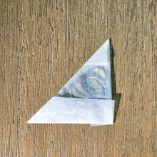 Load image into Gallery viewer, Callicore cajetani - Unmounted/Papered Specimen