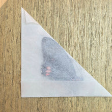 Load image into Gallery viewer, Emerald-Patched Cattle Heart Butterfly - Unmounted/Papered Specimen