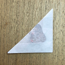Load image into Gallery viewer, Pink-Banded Sister Butterfly - Unmounted/Papered Specimen