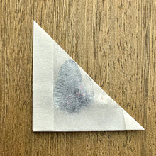 Load image into Gallery viewer, Apollo metalmark - Unmounted/Papered Specimen