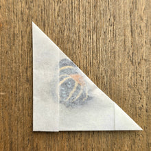 Load image into Gallery viewer, Callicore Butterfly - Unmounted/Papered Specimen