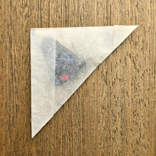 Load image into Gallery viewer, Metalmark Butterfly - Unmounted/Papered Specimen
