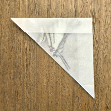 Load image into Gallery viewer, Short-Lined Kite Swallowtail Butterfly - Unmounted/Papered Specimen