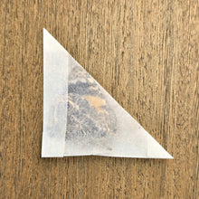 Load image into Gallery viewer, Blomfild's Beauty Butterfly - Unmounted/Papered Specimen