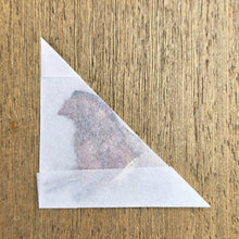Load image into Gallery viewer, Ruddy Daggerwing Butterfly - Unmounted/Papered Specimen