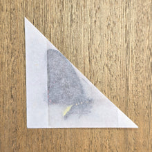 Load image into Gallery viewer, Cramer's Swallowtail Butterfly - Unmounted/Papered Specimen