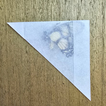 Load image into Gallery viewer, Dolicaon Kite Swallowtail Butterfly - Unmounted/Papered Specimen