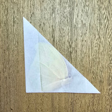 Load image into Gallery viewer, White Angled-Sulphur - Unmounted/Papered Specimen