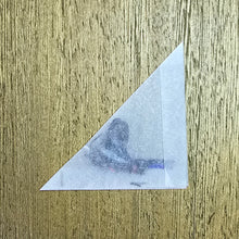 Load image into Gallery viewer, Long-tailed Metalmark Butterfly - Unmounted/Papered Specimen