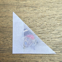 Load image into Gallery viewer, Eighty-Eight Butterfly - Unmounted/Papered Specimen