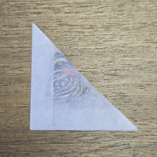 Load image into Gallery viewer, Hesperis Eighty-Eight Butterfly - Unmounted/Papered Specimen