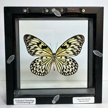 Load image into Gallery viewer, Paper Kite Butterfly Shadow Box Frame