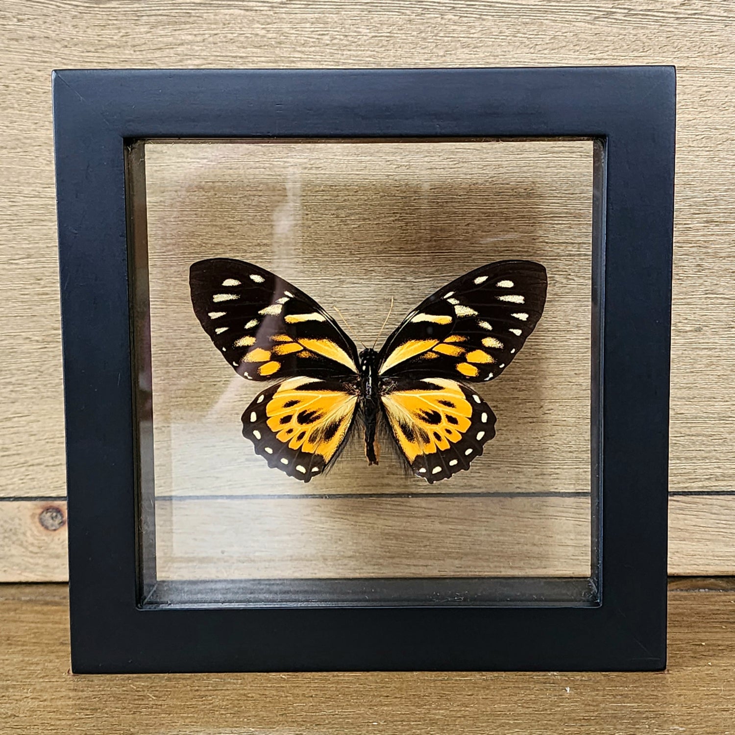Shadow Boxes