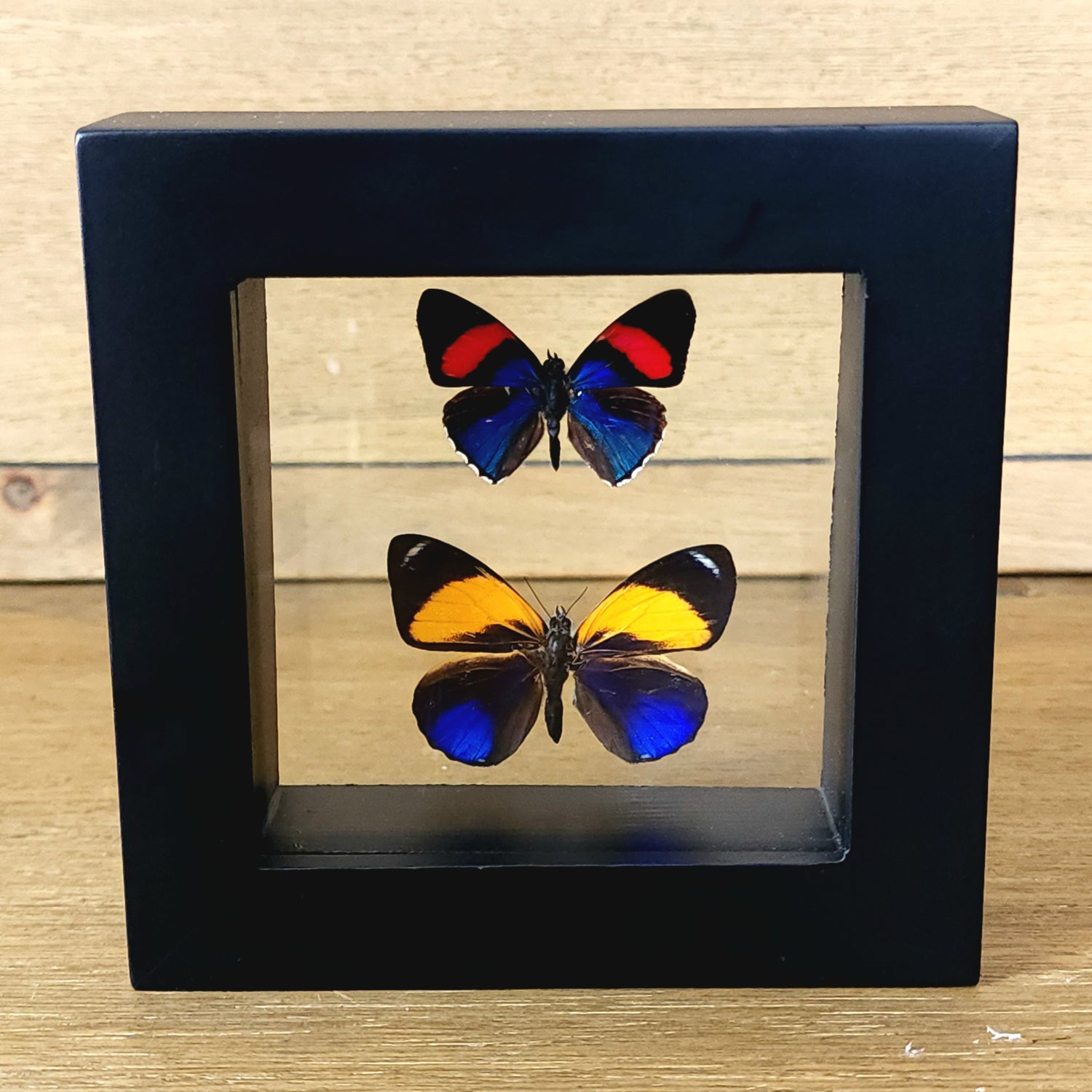 Small Shadow Boxes