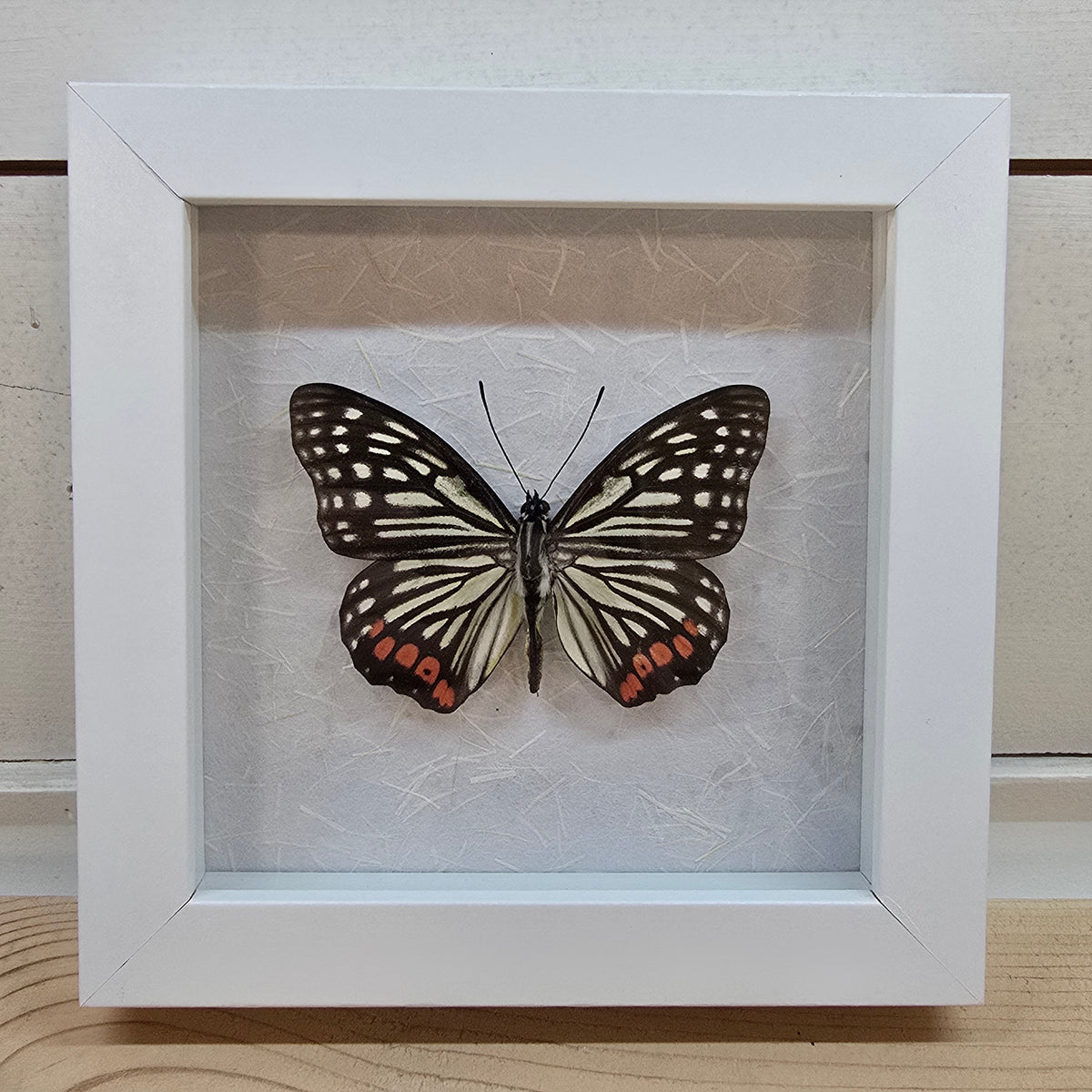 Red Ring Skirt Butterfly Shadow Box Frame