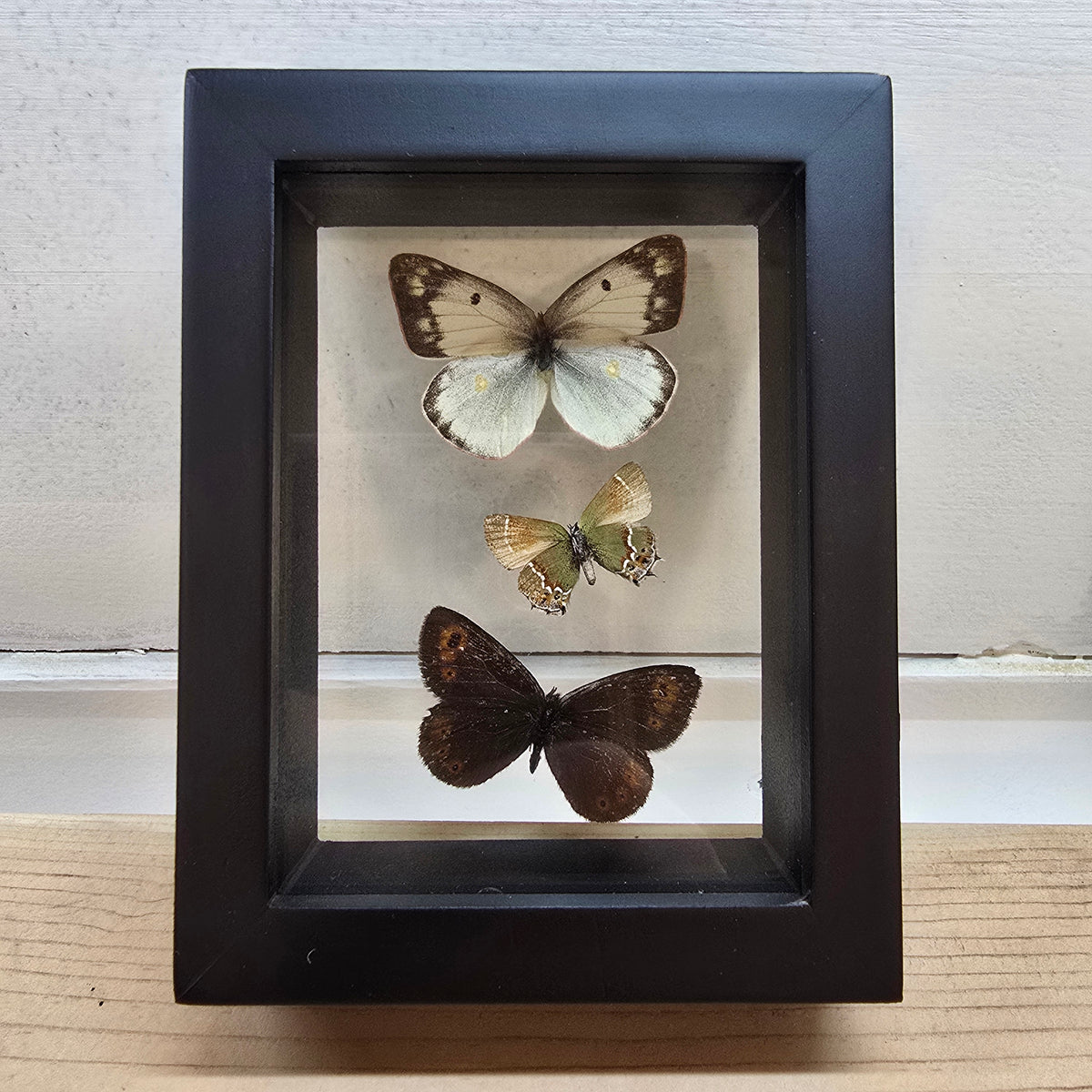 Small Butterfly Trio Shadow Box Frame