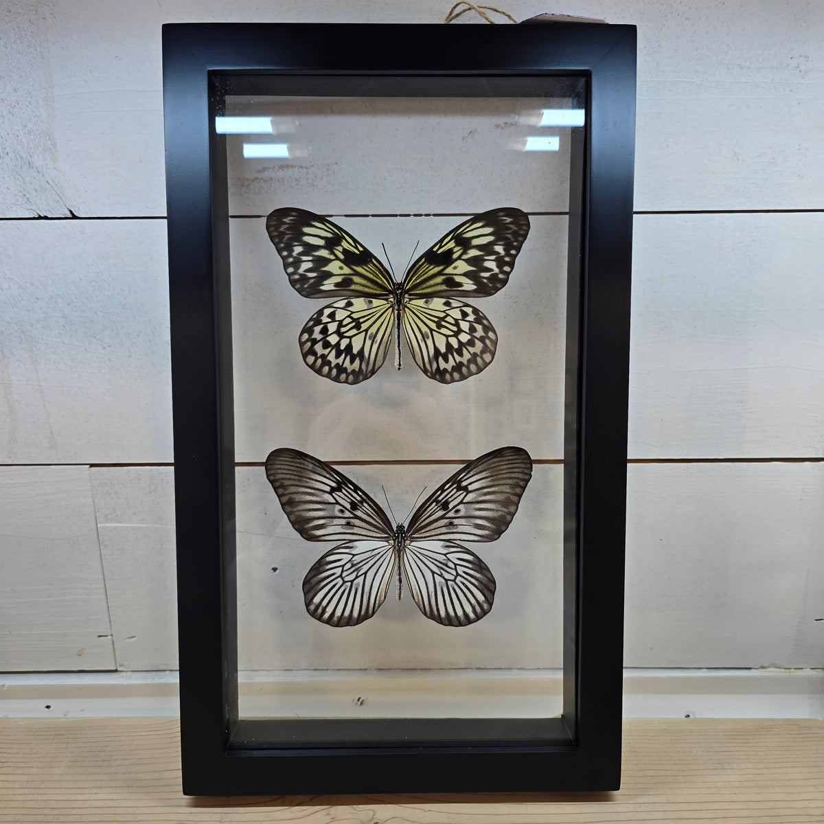 Paper Kite Butterflies Shadow Box Frame