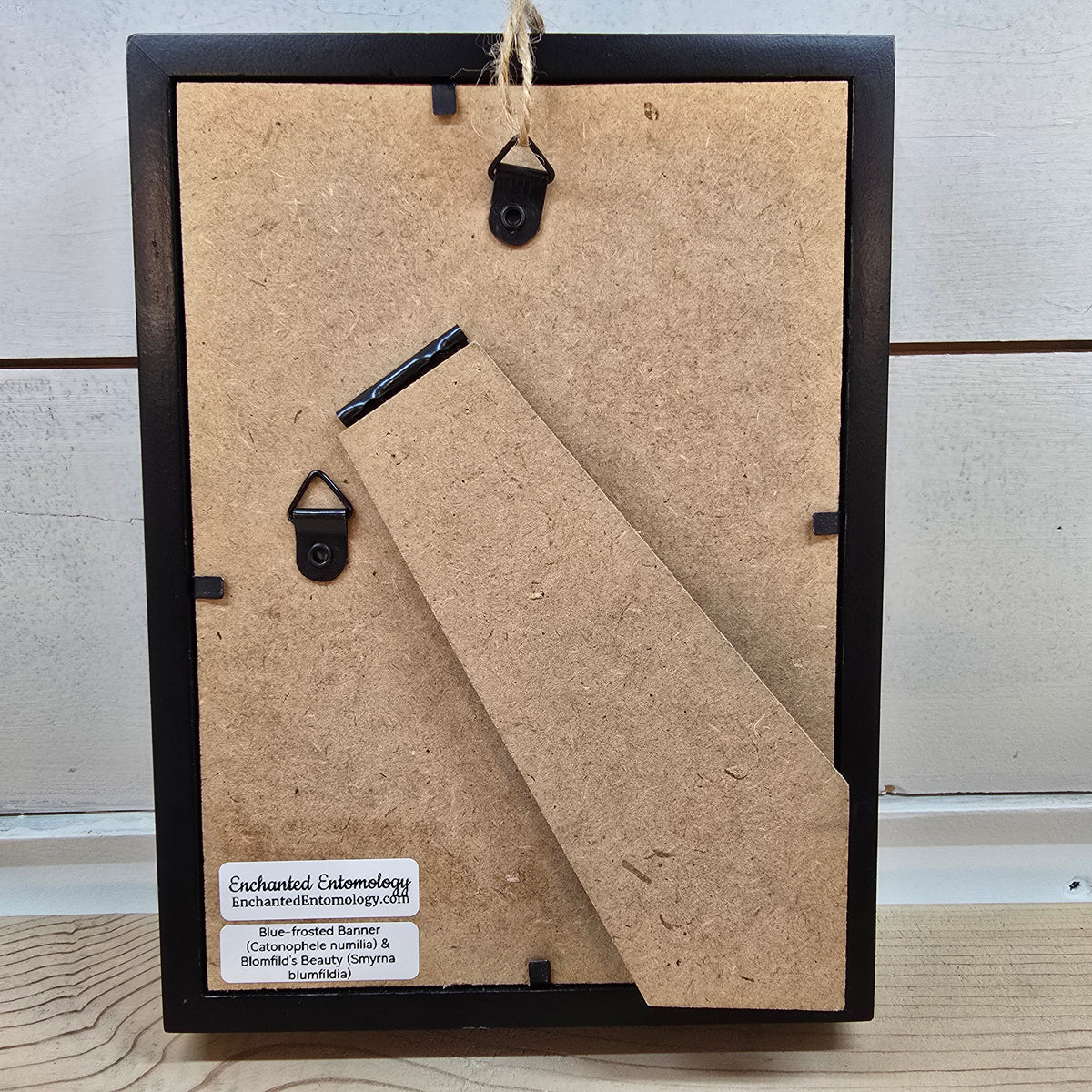 Grecian Shoemaker & Blomfild's Beauty Butterfly Shadow Box Frame