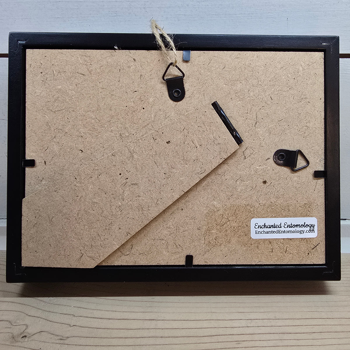 Common Clubtail Butterfly Shadow Box Frame