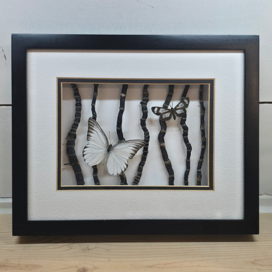 'Forest Friends' Butterfly Shadow Box Frame
