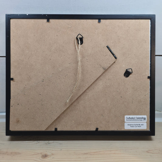 'Forest Friends' Butterfly Shadow Box Frame