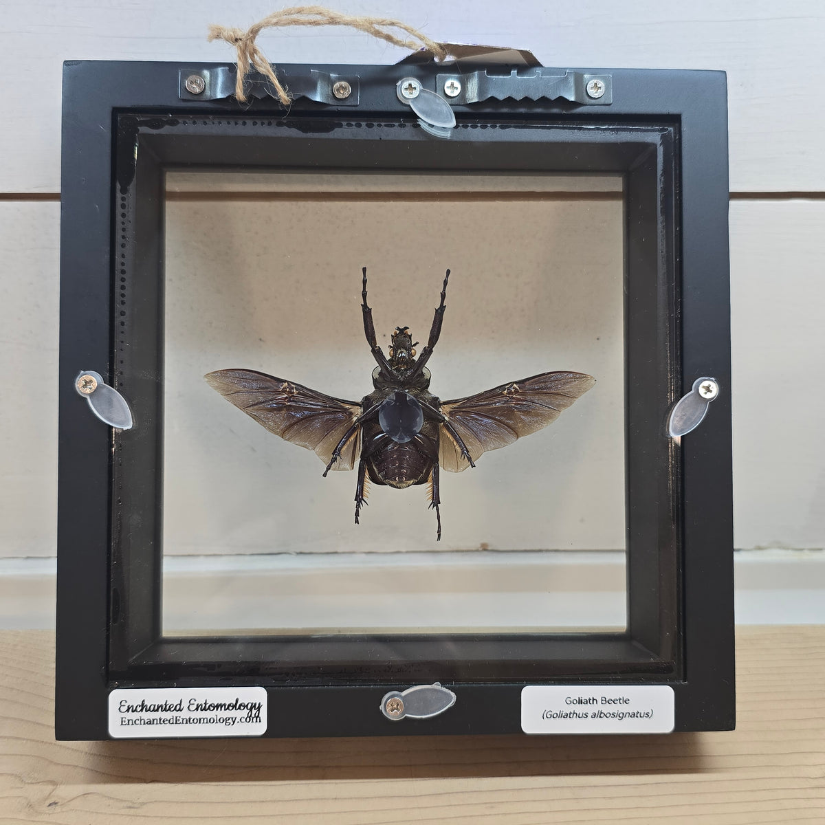 Goliath Shadow Box Frame