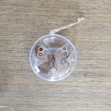 Load image into Gallery viewer, Common Wood Nymph Butterfly Ornament
