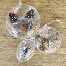 Load image into Gallery viewer, Lesser Mime Butterfly Ornament
