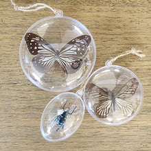 Load image into Gallery viewer, Glassy Tiger Butterfly Ornament
