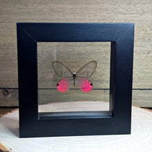 Load image into Gallery viewer, Blushing Phantom Butterfly Shadow Box Frame
