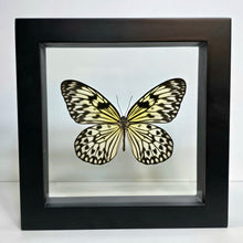 Load image into Gallery viewer, Paper Kite Butterfly Shadow Box Frame
