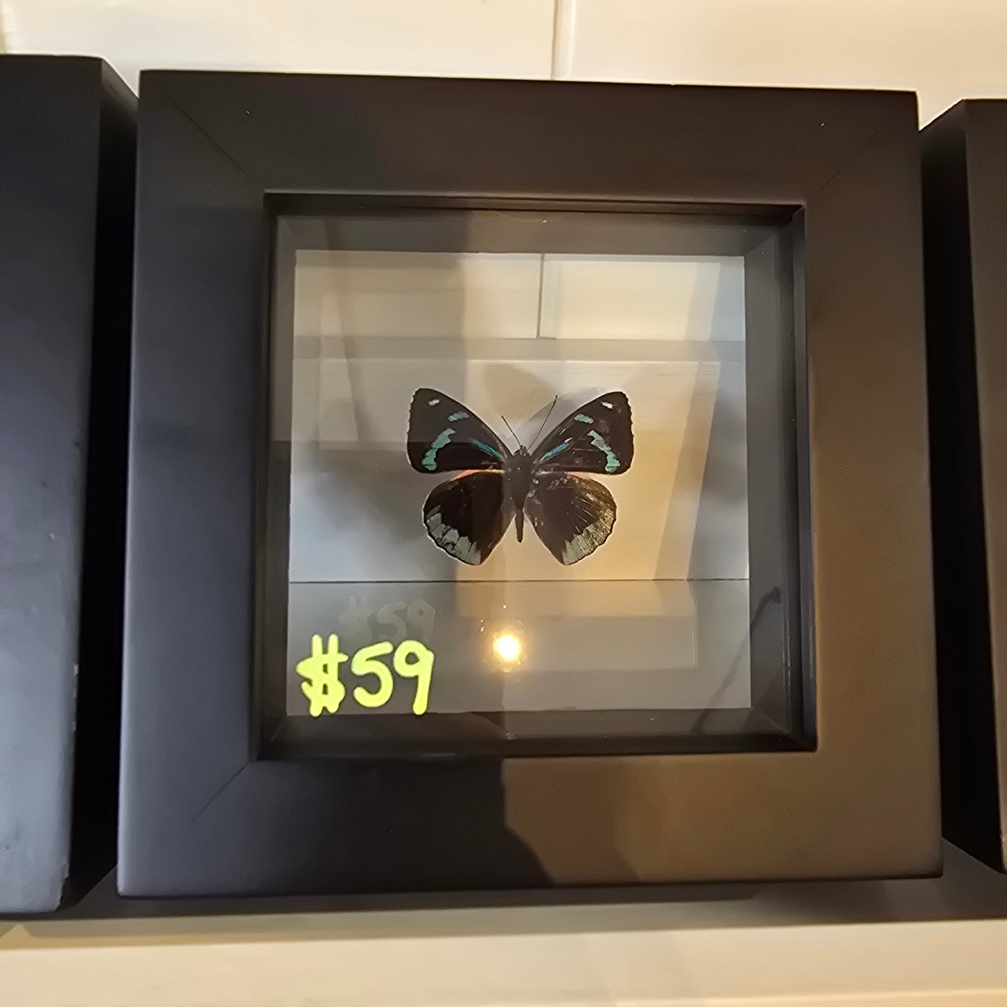 Silver Butterfly Shadow Box Frame