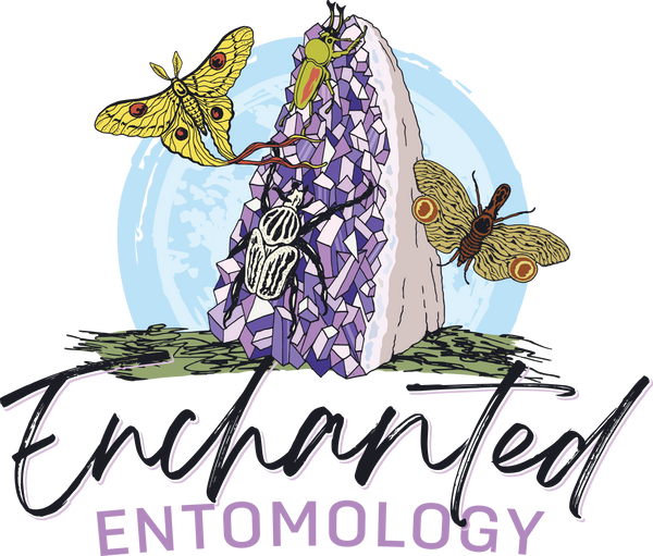 Enchanted Entomology