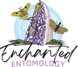 Enchanted Entomology