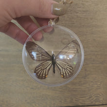 Load and play video in Gallery viewer, Lesser Mime Butterfly Ornament
