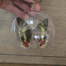Load and play video in Gallery viewer, Sunset Moth Ornament
