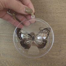 Load and play video in Gallery viewer, Glassy Tiger Butterfly Ornament
