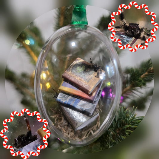 Jumping Spider Ornaments (Collab with Mystic Labyrinth)